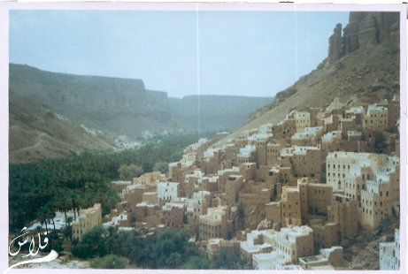 حوفة